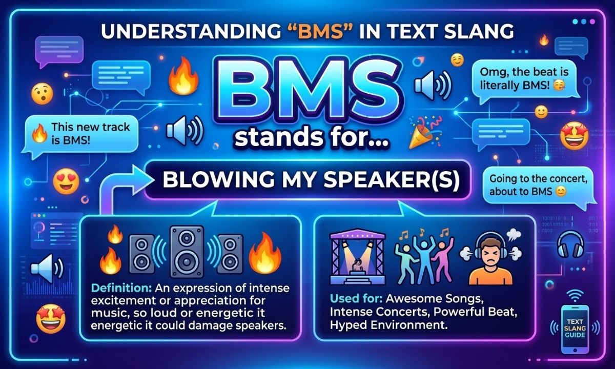 BMS Meaning in Text