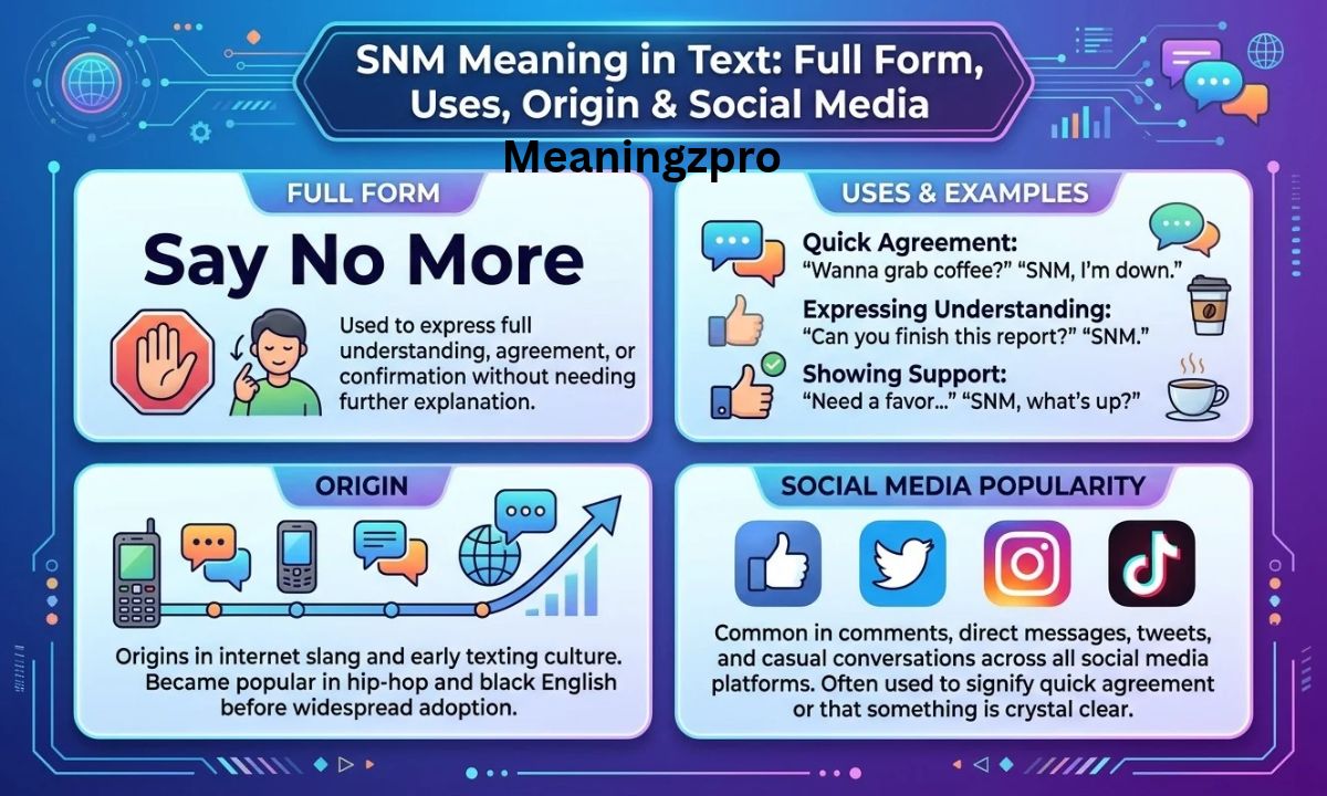 SNM Meaning in Text