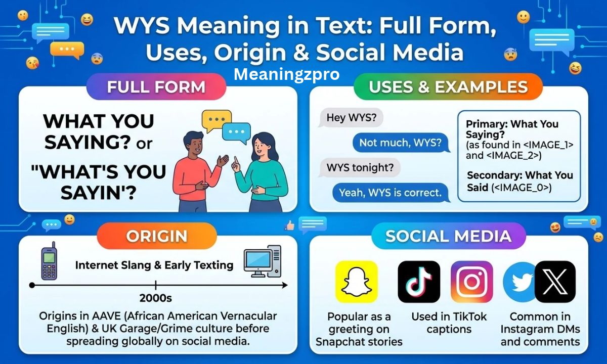 WYS Meaning in Text